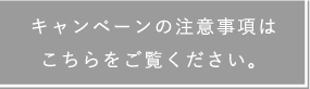 キャンペーンの注意事項はこちらをご覧ください