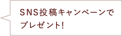 SNS投稿キャンペーンでプレゼント